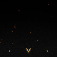 حزمة لتل سيزر بلاك اوبس 6