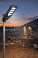 كشاف طاقة شمسية 200 واط – إضاءة أقوى.. طاقة أوفر