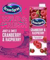 أوشن سبراي بنكهة التوت البري والتوت 1 لتر