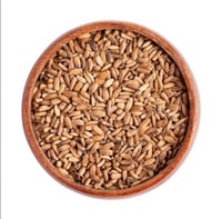 بذور حليب الشوك