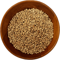 بذور محلب سوري