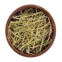 عشبة المدينة