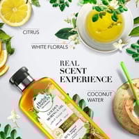 شامبو زيت جولدن مورينجا المجدد للنعومة من هيربل اي...