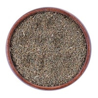 بذر كرفس درجة اول