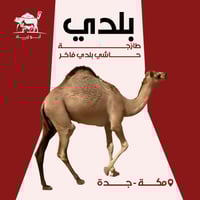 حاشي بلدي فاخر