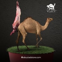 حاشي بلدي فاخر