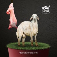 حري جذع فاخر