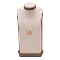 سلسال ذهب رمز الريال - (NA.0170)