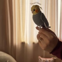 دمية طير -كوكتيل -