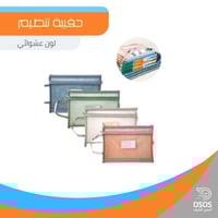 حقيبة تنظيم