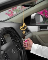 تعليقة الخيل وكسرة العود كتابة حسب طلبك