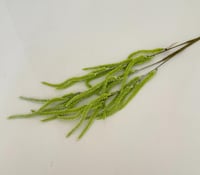 اخضر فاتح