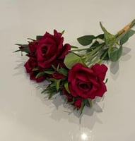 عنابي