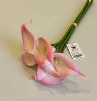وردي فاتح