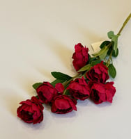 عنابي