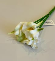 ابيض بطرف اخضر