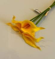 اصفر