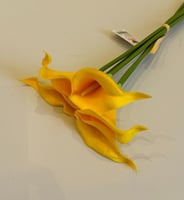اصفر