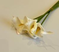 ابيض مع اصفر