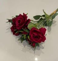 عنابي