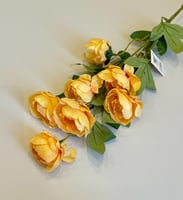 اصفر
