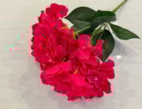 فوشي مايل للاحمر