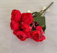 احمر