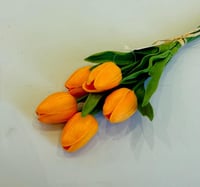 برتقالي