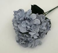 رمادي