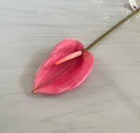 غصن ورد رقم ( 50 ) حجم كبير