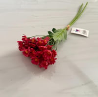 احمر