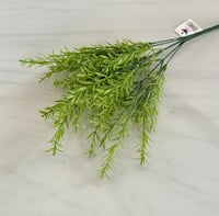 اخضر فاتح