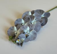ازرق ع رصاصي