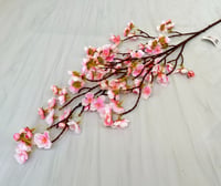 ابيض مع وردي فاتح