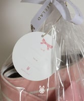 هدية الأميرة الصغيرة