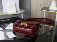 حقيبة تريومف سيلين 23 سم من الجلد