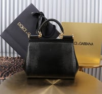 حقيبة دولتشي ستامبا إجوانا كريستال ميس سيسيلي 20