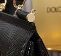 حقيبة دولتشي ستامبا إجوانا كريستال ميس سيسيلي 20