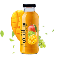 كرتون عصير سانتي مانجو الفونسو - 300 مل - 24 عبوة