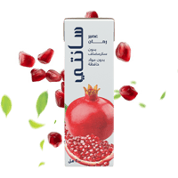 كرتون عصير سانتي رمان (كومبي بلوك) - 200 مل - 24 ع...