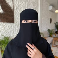 عدد_3_ نقابات مبطن حرير