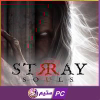 ستراي سولز | stray souls