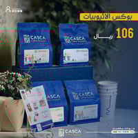 بوكس الأثيوبيات