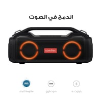 مكبر صوت محمول بورودو ساوندتك فايب بوظائف ذكية