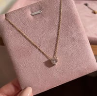 سلسال لاسينا