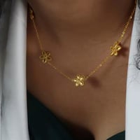 سلسال ايانا