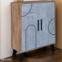 خزانة أحذية بابين عدة الوان