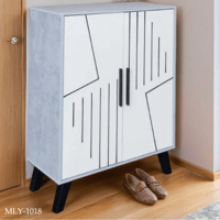 خزانة أحذية بابين عدة الوان