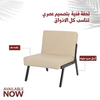 كرسي جلد عدة ألوان