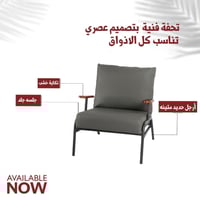 طقم 2 كرسي جلد فخم رمادي تكاية خشب